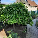 Gaestewohnung Am Thuemmlitzwald Grimma