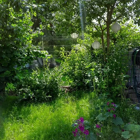 דירה Gaestewohnung Am Thuemmlitzwald *