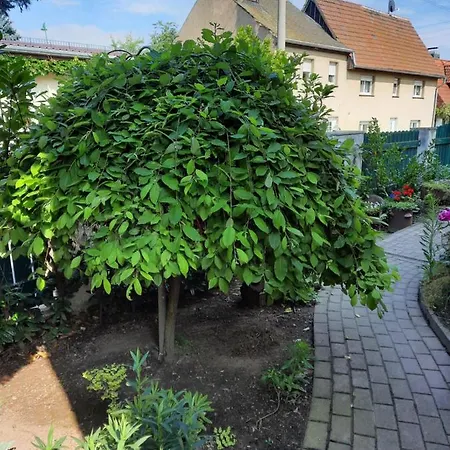 Gaestewohnung Am Thuemmlitzwald جريما