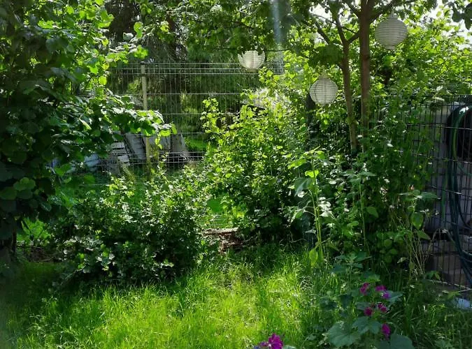 Appartement Gaestewohnung Am Thuemmlitzwald *